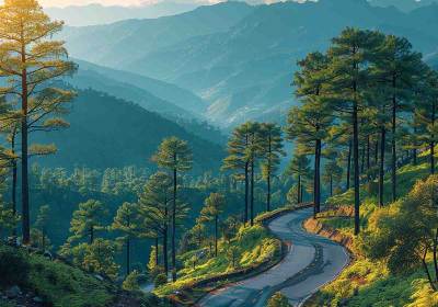 Kasauli Tour