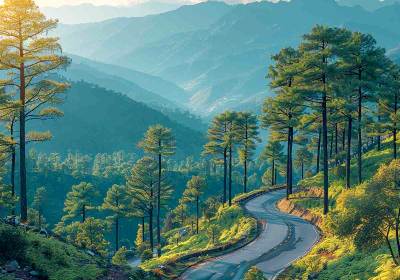 Kasauli Taxi Service